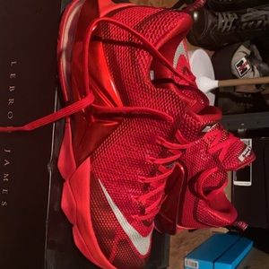 Lebron XII low